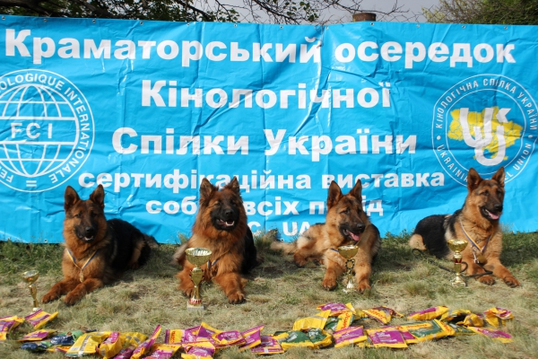 12 Мая 2018 года в Краматорске прошла сертификатная выставка собак